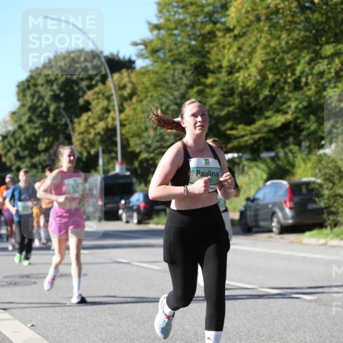 20.09.2026 - PSD Bank Halbmarathon Jannik Wohlers http://msf.ph/oto/10515181 20.09.2026 10:36:32 Laufen  meine-sportfotos.de