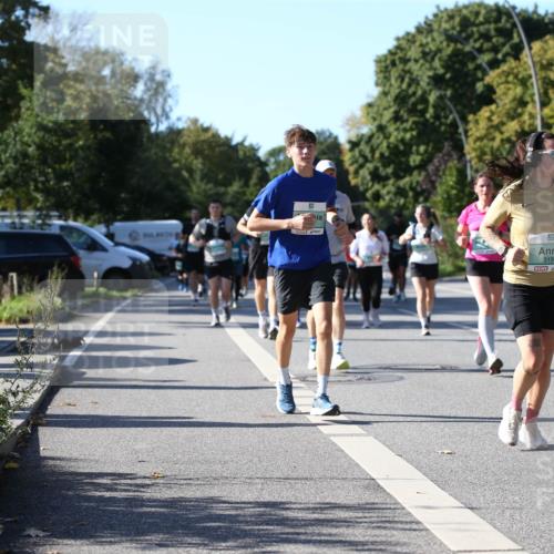 20.09.2026 - PSD Bank Halbmarathon Jannik Wohlers http://msf.ph/oto/10517459 20.09.2026 10:40:15 Laufen 5, 3197 meine-sportfotos.de