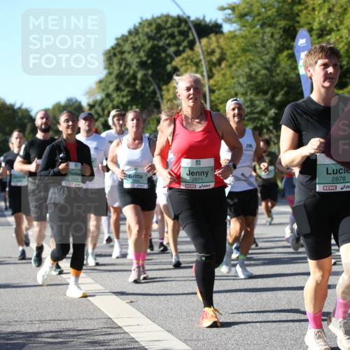20.09.2026 - PSD Bank Halbmarathon Jannik Wohlers http://msf.ph/oto/10521604 20.09.2026 10:40:49 Laufen 1948, 1358, 2871, 99, 2878, 27 meine-sportfotos.de