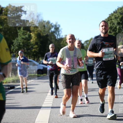 20.09.2026 - PSD Bank Halbmarathon Jannik Wohlers http://msf.ph/oto/10521975 20.09.2026 10:42:56 Laufen 3959, 1389, 1388 meine-sportfotos.de