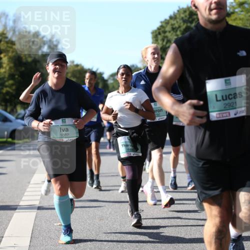 20.09.2026 - PSD Bank Halbmarathon Jannik Wohlers http://msf.ph/oto/10522050 20.09.2026 10:43:21 Laufen 1082, 4486, 792, 2921 meine-sportfotos.de