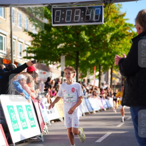 20.09.2026 - PSD Bank Halbmarathon LAZAROV Photography http://msf.ph/oto/10547788 20.09.2026 10:28:04 Ziel 216, 241, 250, 445, 457 meine-sportfotos.de