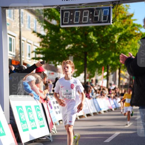 20.09.2026 - PSD Bank Halbmarathon LAZAROV Photography http://msf.ph/oto/10547789 20.09.2026 10:28:04 Ziel 216, 241, 250, 445, 457 meine-sportfotos.de