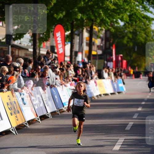 20.09.2026 - PSD Bank Halbmarathon LAZAROV Photography http://msf.ph/oto/10547820 20.09.2026 10:28:27 Ziel 324 meine-sportfotos.de