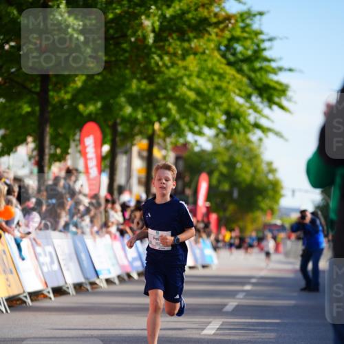 20.09.2026 - PSD Bank Halbmarathon LAZAROV Photography http://msf.ph/oto/10547834 20.09.2026 10:28:41 Ziel 111, 362 meine-sportfotos.de