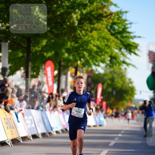 20.09.2026 - PSD Bank Halbmarathon LAZAROV Photography http://msf.ph/oto/10547835 20.09.2026 10:28:41 Ziel 111, 362 meine-sportfotos.de