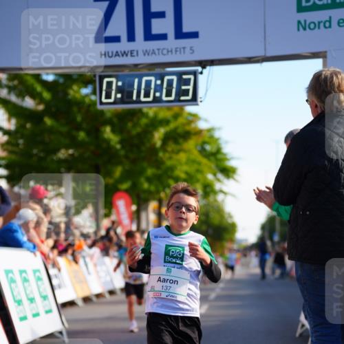 20.09.2026 - PSD Bank Halbmarathon LAZAROV Photography http://msf.ph/oto/10547900 20.09.2026 10:29:27 Ziel 137, 181, 228, 377, 406 meine-sportfotos.de