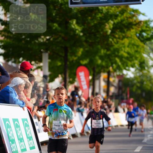 20.09.2026 - PSD Bank Halbmarathon LAZAROV Photography http://msf.ph/oto/10547903 20.09.2026 10:29:29 Ziel 102, 137, 181, 228, 377, 406 meine-sportfotos.de