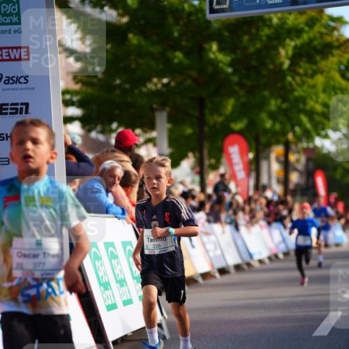 20.09.2026 - PSD Bank Halbmarathon LAZAROV Photography http://msf.ph/oto/10547907 20.09.2026 10:29:30 Ziel 102, 137, 140, 181, 228, 357, 377, 406 meine-sportfotos.de