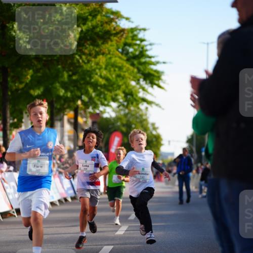 20.09.2026 - PSD Bank Halbmarathon LAZAROV Photography http://msf.ph/oto/10547918 20.09.2026 10:29:34 Ziel 102, 137, 140, 181, 228, 357, 368, 377, 434 meine-sportfotos.de