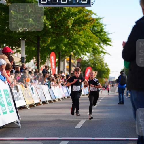 20.09.2026 - PSD Bank Halbmarathon LAZAROV Photography http://msf.ph/oto/10547929 20.09.2026 10:29:42 Ziel 140, 165, 231, 357, 368, 417, 434 meine-sportfotos.de
