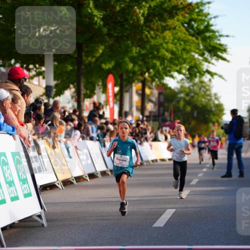 20.09.2026 - PSD Bank Halbmarathon LAZAROV Photography http://msf.ph/oto/10547942 20.09.2026 10:29:49 Ziel 165, 202, 231, 279, 417 meine-sportfotos.de