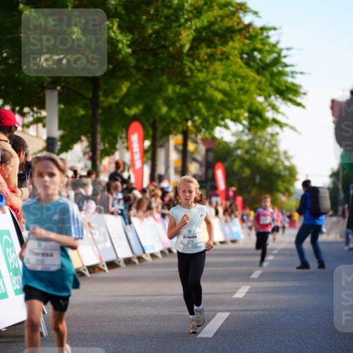 20.09.2026 - PSD Bank Halbmarathon LAZAROV Photography http://msf.ph/oto/10547948 20.09.2026 10:29:50 Ziel 112, 165, 202, 231, 279, 417 meine-sportfotos.de