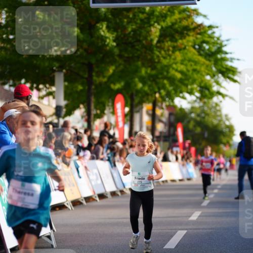 20.09.2026 - PSD Bank Halbmarathon LAZAROV Photography http://msf.ph/oto/10547950 20.09.2026 10:29:50 Ziel 112, 165, 202, 231, 279, 417 meine-sportfotos.de