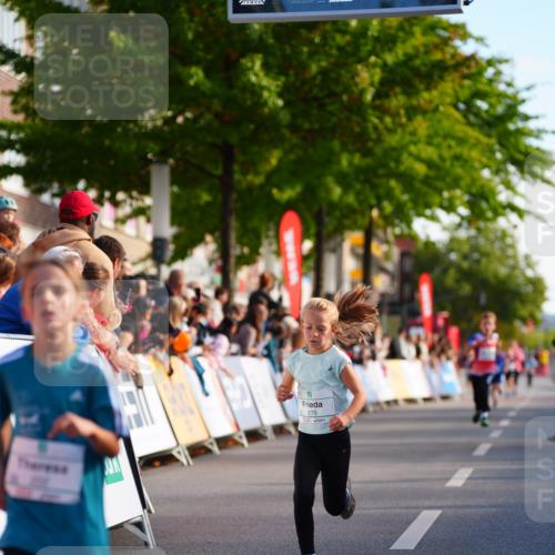 20.09.2026 - PSD Bank Halbmarathon LAZAROV Photography http://msf.ph/oto/10547951 20.09.2026 10:29:51 Ziel 112, 165, 202, 279, 417 meine-sportfotos.de