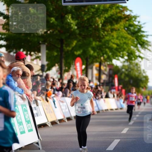 20.09.2026 - PSD Bank Halbmarathon LAZAROV Photography http://msf.ph/oto/10547952 20.09.2026 10:29:51 Ziel 112, 165, 202, 279, 417 meine-sportfotos.de