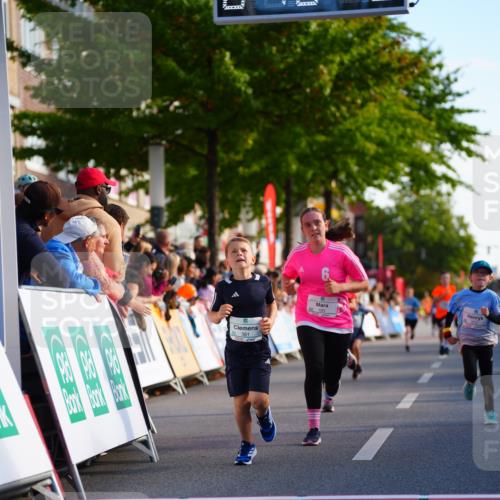 20.09.2026 - PSD Bank Halbmarathon LAZAROV Photography http://msf.ph/oto/10547971 20.09.2026 10:30:06 Ziel 183, 266, 312, 315, 318, 321, 361 meine-sportfotos.de