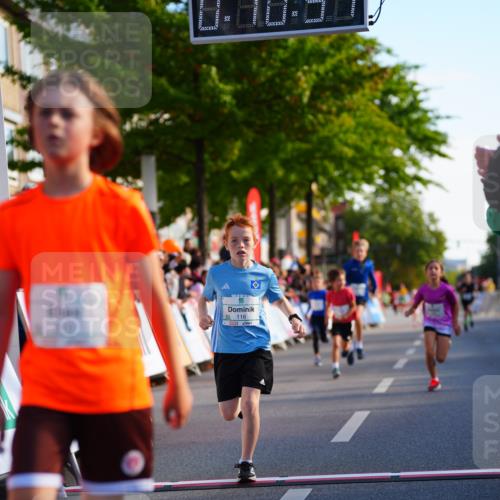20.09.2026 - PSD Bank Halbmarathon LAZAROV Photography http://msf.ph/oto/10547989 20.09.2026 10:30:15 Ziel 116, 167, 297, 310, 315, 318, 405, 456 meine-sportfotos.de