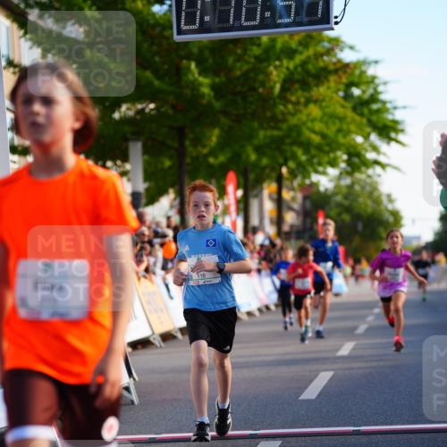 20.09.2026 - PSD Bank Halbmarathon LAZAROV Photography http://msf.ph/oto/10547990 20.09.2026 10:30:15 Ziel 116, 167, 297, 310, 315, 318, 405, 456 meine-sportfotos.de