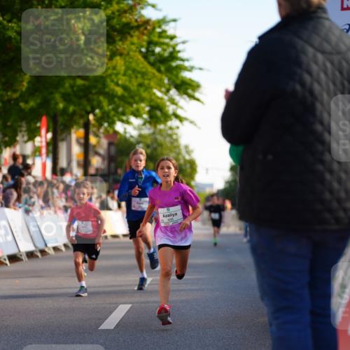20.09.2026 - PSD Bank Halbmarathon LAZAROV Photography http://msf.ph/oto/10547992 20.09.2026 10:30:16 Ziel 116, 167, 297, 310, 315, 318, 405, 456 meine-sportfotos.de