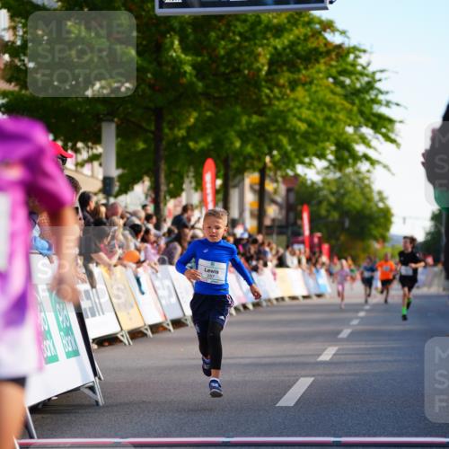 20.09.2026 - PSD Bank Halbmarathon LAZAROV Photography http://msf.ph/oto/10547999 20.09.2026 10:30:19 Ziel 116, 127, 167, 297, 310, 405, 456 meine-sportfotos.de