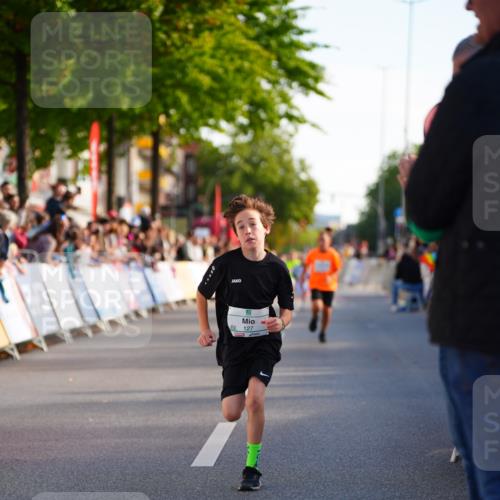 20.09.2026 - PSD Bank Halbmarathon LAZAROV Photography http://msf.ph/oto/10548004 20.09.2026 10:30:23 Ziel 110, 127, 167, 275, 297, 397, 405, 456 meine-sportfotos.de