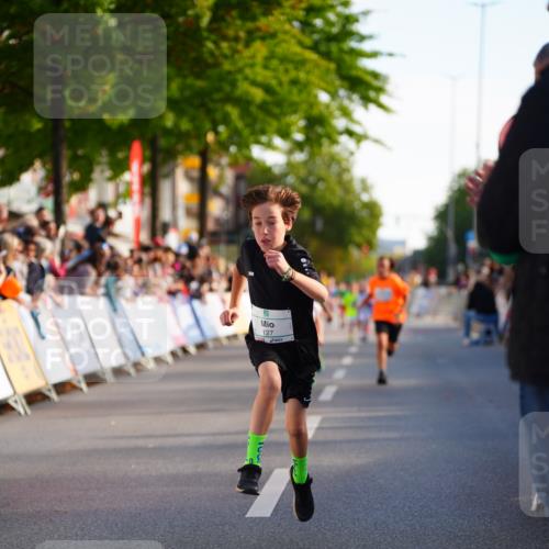 20.09.2026 - PSD Bank Halbmarathon LAZAROV Photography http://msf.ph/oto/10548005 20.09.2026 10:30:23 Ziel 110, 127, 167, 275, 297, 397, 405, 456 meine-sportfotos.de