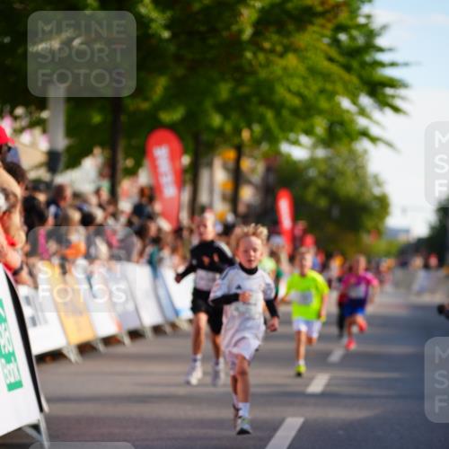 20.09.2026 - PSD Bank Halbmarathon LAZAROV Photography http://msf.ph/oto/10548023 20.09.2026 10:30:32 Ziel 110, 114, 159, 160, 176, 256, 275, 397, 408 meine-sportfotos.de