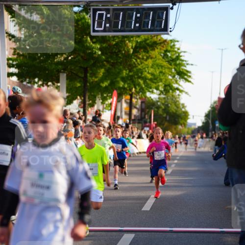20.09.2026 - PSD Bank Halbmarathon LAZAROV Photography http://msf.ph/oto/10548029 20.09.2026 10:30:35 Ziel 114, 159, 160, 176, 256, 257, 275, 319, 391, 408 meine-sportfotos.de