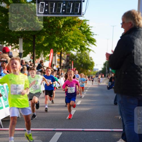 20.09.2026 - PSD Bank Halbmarathon LAZAROV Photography http://msf.ph/oto/10548030 20.09.2026 10:30:36 Ziel 114, 159, 160, 176, 256, 257, 319, 391, 408 meine-sportfotos.de