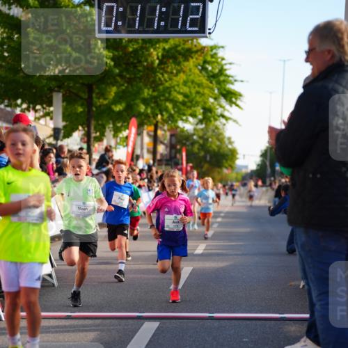20.09.2026 - PSD Bank Halbmarathon LAZAROV Photography http://msf.ph/oto/10548032 20.09.2026 10:30:36 Ziel 114, 159, 160, 176, 256, 257, 319, 391, 408 meine-sportfotos.de