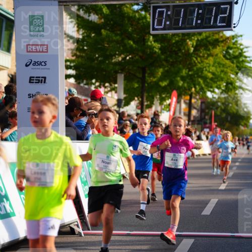 20.09.2026 - PSD Bank Halbmarathon LAZAROV Photography http://msf.ph/oto/10548034 20.09.2026 10:30:36 Ziel 114, 159, 160, 176, 256, 257, 319, 391, 408 meine-sportfotos.de