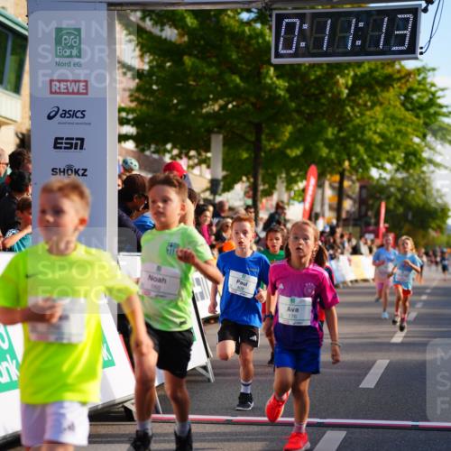 20.09.2026 - PSD Bank Halbmarathon LAZAROV Photography http://msf.ph/oto/10548035 20.09.2026 10:30:37 Ziel 114, 159, 160, 176, 256, 257, 319, 340, 391, 408 meine-sportfotos.de