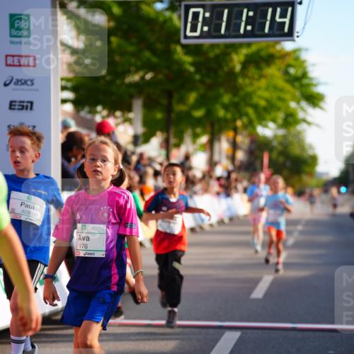 20.09.2026 - PSD Bank Halbmarathon LAZAROV Photography http://msf.ph/oto/10548037 20.09.2026 10:30:38 Ziel 114, 159, 160, 176, 256, 257, 319, 340, 391, 408 meine-sportfotos.de