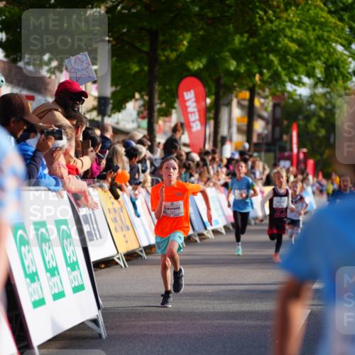 20.09.2026 - PSD Bank Halbmarathon LAZAROV Photography http://msf.ph/oto/10548048 20.09.2026 10:30:46 Ziel 121, 149, 319, 340, 355, 380, 438 meine-sportfotos.de