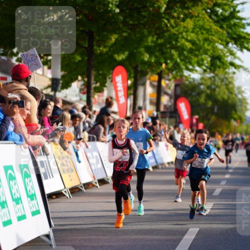 20.09.2026 - PSD Bank Halbmarathon LAZAROV Photography http://msf.ph/oto/10548053 20.09.2026 10:30:48 Ziel 121, 149, 340, 347, 355, 380, 438 meine-sportfotos.de