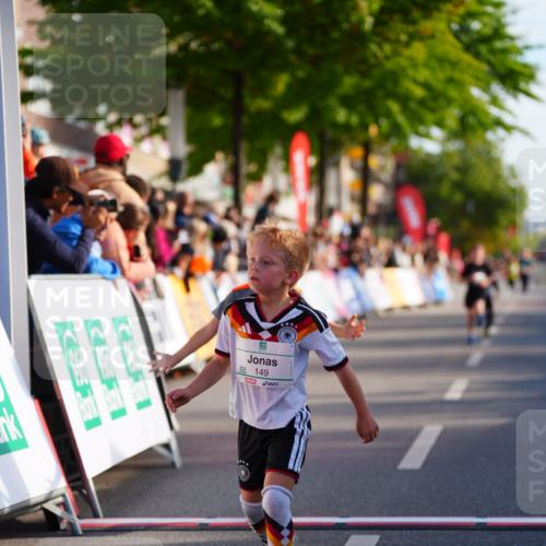 20.09.2026 - PSD Bank Halbmarathon LAZAROV Photography http://msf.ph/oto/10548065 20.09.2026 10:30:52 Ziel 121, 149, 304, 347, 355, 380, 438 meine-sportfotos.de