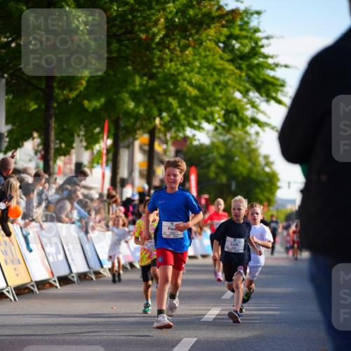 20.09.2026 - PSD Bank Halbmarathon LAZAROV Photography http://msf.ph/oto/10548101 20.09.2026 10:31:18 Ziel 115, 155, 245, 280, 309, 326, 358, 394, 448 meine-sportfotos.de