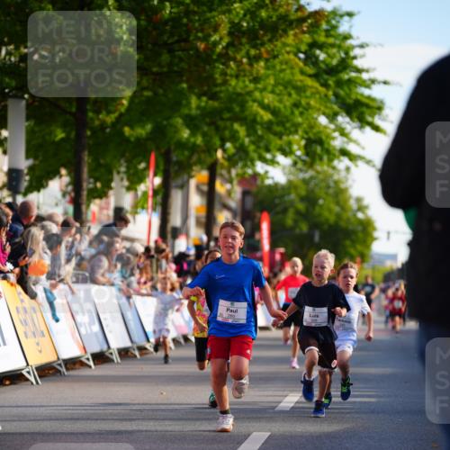 20.09.2026 - PSD Bank Halbmarathon LAZAROV Photography http://msf.ph/oto/10548102 20.09.2026 10:31:18 Ziel 115, 155, 245, 280, 309, 326, 358, 394, 448 meine-sportfotos.de
