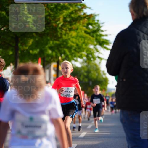 20.09.2026 - PSD Bank Halbmarathon LAZAROV Photography http://msf.ph/oto/10548115 20.09.2026 10:31:23 Ziel 108, 146, 158, 245, 280, 309, 326, 353, 358, 395, 439, 448 meine-sportfotos.de