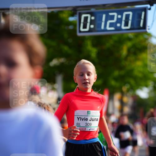 20.09.2026 - PSD Bank Halbmarathon LAZAROV Photography http://msf.ph/oto/10548118 20.09.2026 10:31:25 Ziel 108, 146, 158, 217, 245, 280, 309, 326, 353, 358, 395, 398, 439, 448 meine-sportfotos.de