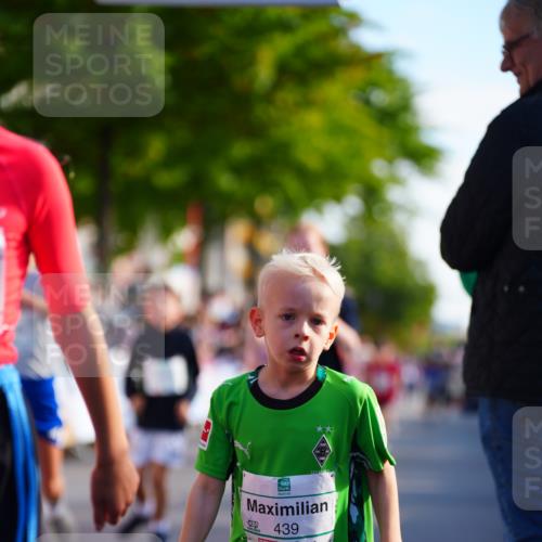 20.09.2026 - PSD Bank Halbmarathon LAZAROV Photography http://msf.ph/oto/10548120 20.09.2026 10:31:26 Ziel 108, 146, 158, 217, 245, 280, 309, 326, 353, 358, 395, 398, 439, 448 meine-sportfotos.de
