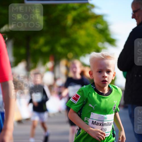 20.09.2026 - PSD Bank Halbmarathon LAZAROV Photography http://msf.ph/oto/10548121 20.09.2026 10:31:26 Ziel 108, 146, 158, 217, 245, 280, 309, 326, 353, 358, 395, 398, 439, 448 meine-sportfotos.de