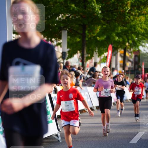 20.09.2026 - PSD Bank Halbmarathon LAZAROV Photography http://msf.ph/oto/10548126 20.09.2026 10:31:28 Ziel 108, 146, 158, 217, 309, 353, 358, 395, 398, 407, 410, 439 meine-sportfotos.de