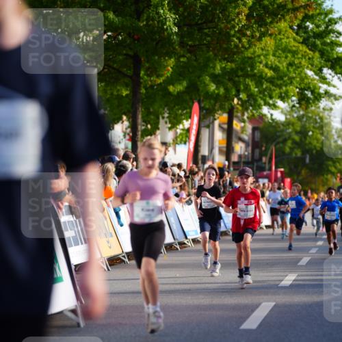 20.09.2026 - PSD Bank Halbmarathon LAZAROV Photography http://msf.ph/oto/10548128 20.09.2026 10:31:29 Ziel 104, 108, 146, 158, 215, 217, 307, 309, 353, 358, 395, 398, 407, 410, 439 meine-sportfotos.de