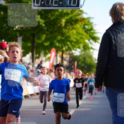 20.09.2026 - PSD Bank Halbmarathon LAZAROV Photography http://msf.ph/oto/10548140 20.09.2026 10:31:34 Ziel 104, 146, 208, 215, 217, 223, 260, 265, 307, 398, 407, 410, 450 meine-sportfotos.de