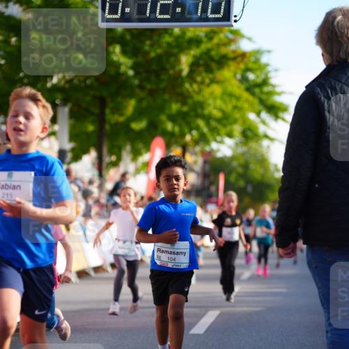 20.09.2026 - PSD Bank Halbmarathon LAZAROV Photography http://msf.ph/oto/10548141 20.09.2026 10:31:34 Ziel 104, 146, 208, 215, 217, 223, 260, 265, 307, 398, 407, 410, 450 meine-sportfotos.de
