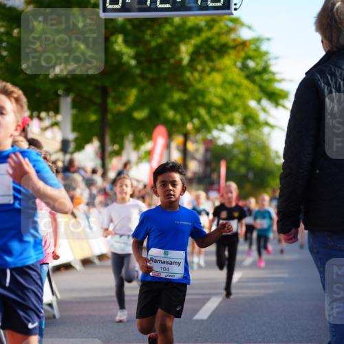 20.09.2026 - PSD Bank Halbmarathon LAZAROV Photography http://msf.ph/oto/10548142 20.09.2026 10:31:34 Ziel 104, 146, 208, 215, 217, 223, 260, 265, 307, 398, 407, 410, 450 meine-sportfotos.de