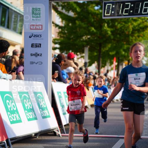 20.09.2026 - PSD Bank Halbmarathon LAZAROV Photography http://msf.ph/oto/10548156 20.09.2026 10:31:42 Ziel 189, 208, 210, 219, 223, 260, 265, 322, 375, 414, 450 meine-sportfotos.de