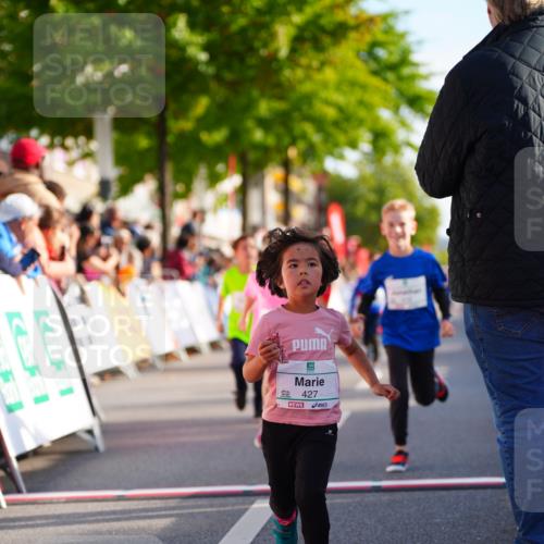 20.09.2026 - PSD Bank Halbmarathon LAZAROV Photography http://msf.ph/oto/10548191 20.09.2026 10:32:01 Ziel 225, 277, 298, 336, 399, 416, 426, 427, 451, 458 meine-sportfotos.de
